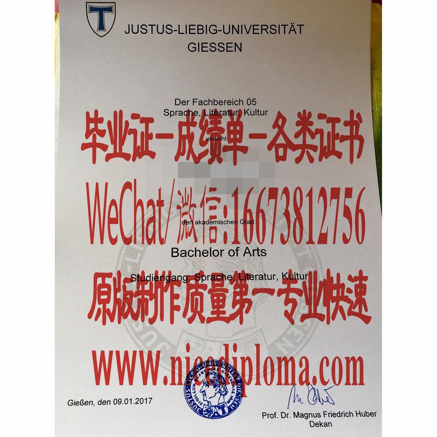 仿制吉森大学毕业证学位原版