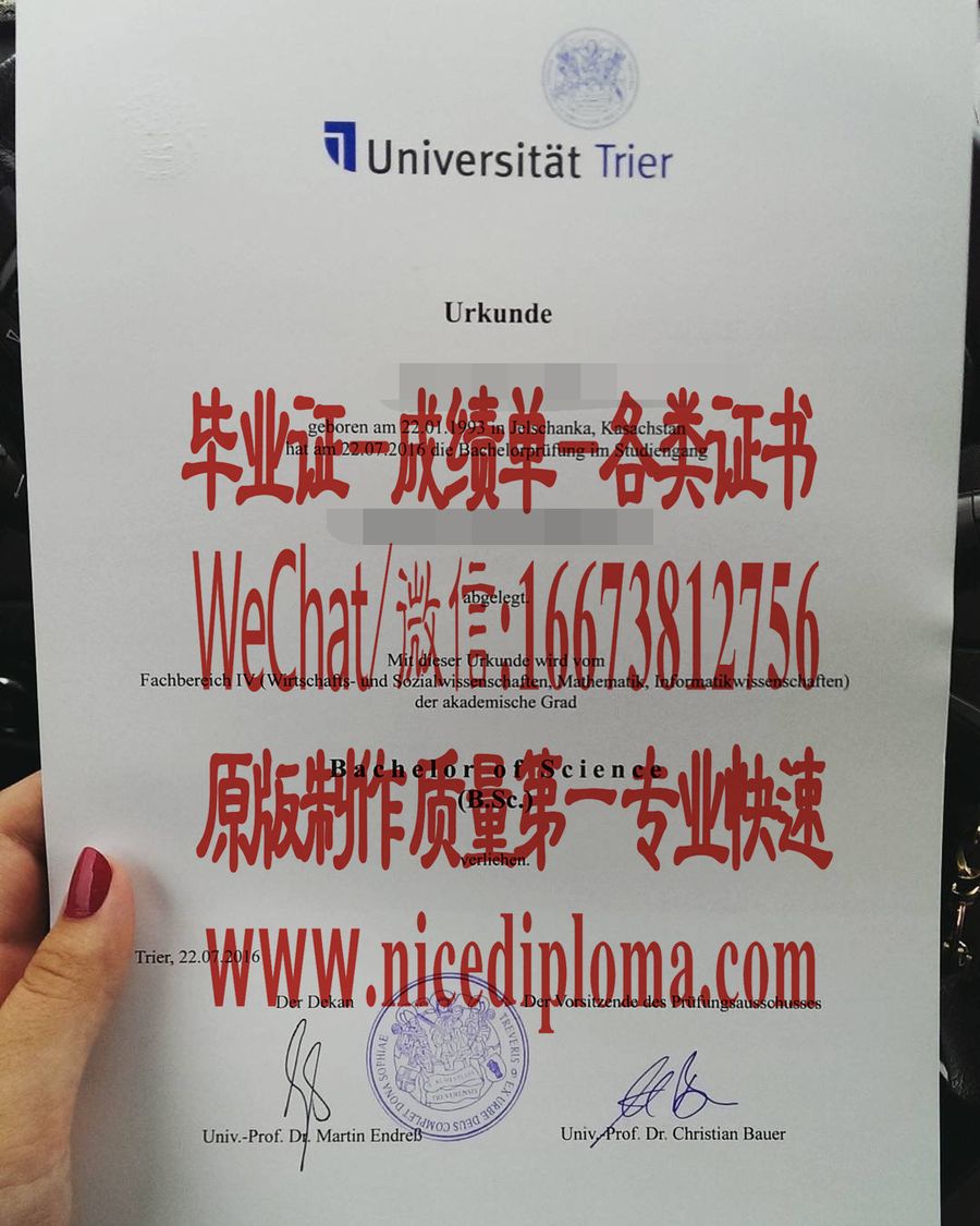 仿制特里尔大学毕业证学位原版