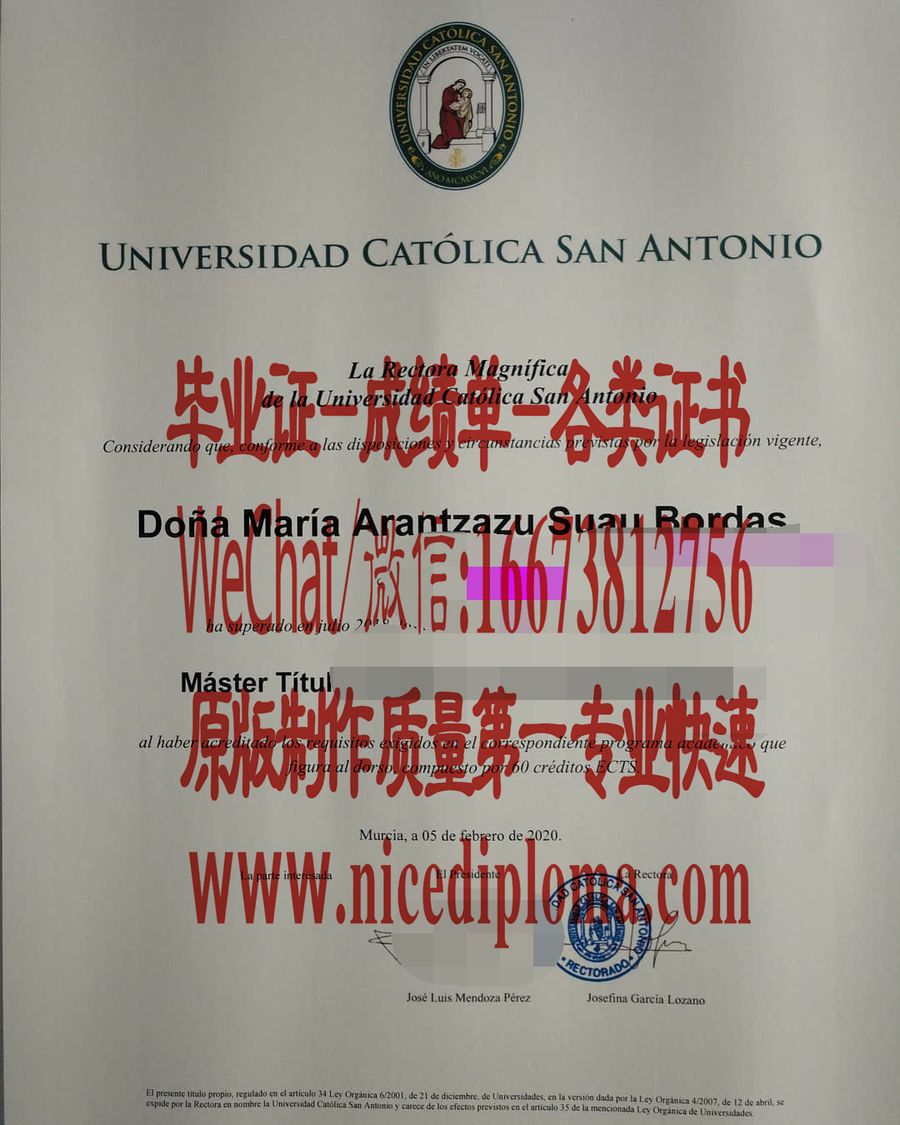 卡托利卡大学毕业证原版仿制