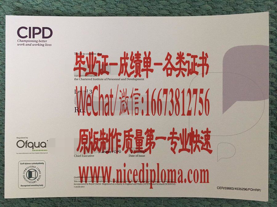 原版仿制CIPD人力资源实践文凭