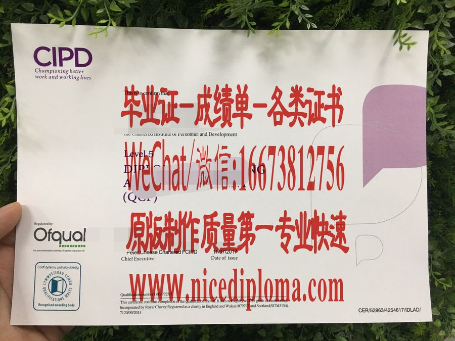 原版仿制CIPD英国特许人事与发展协会证书