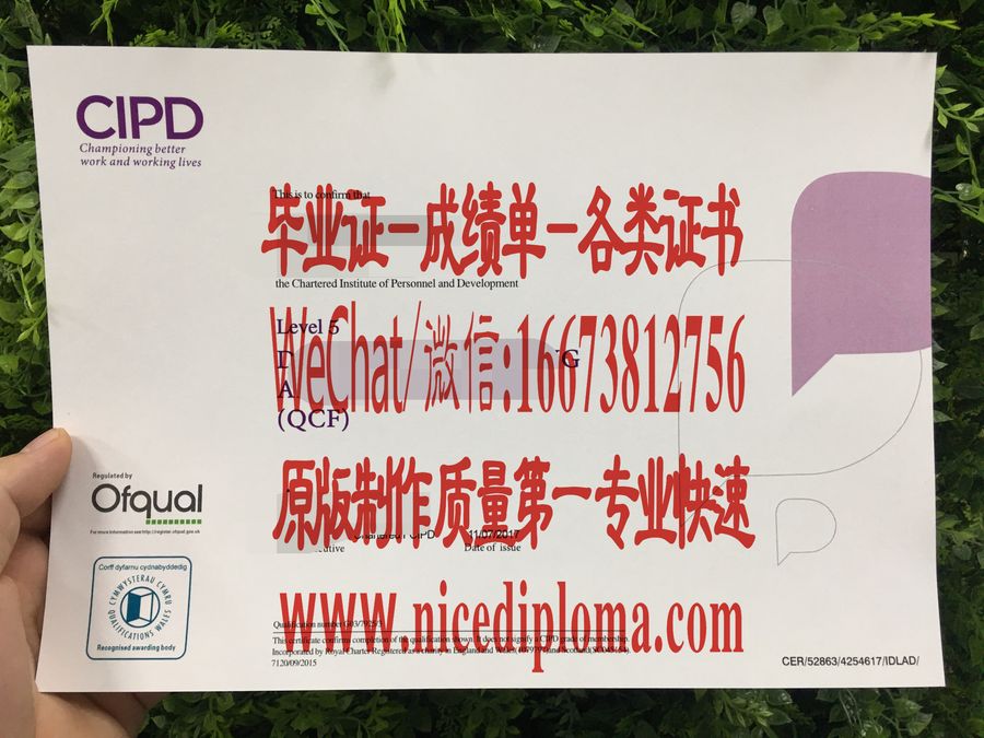 原版仿制CIPD证书