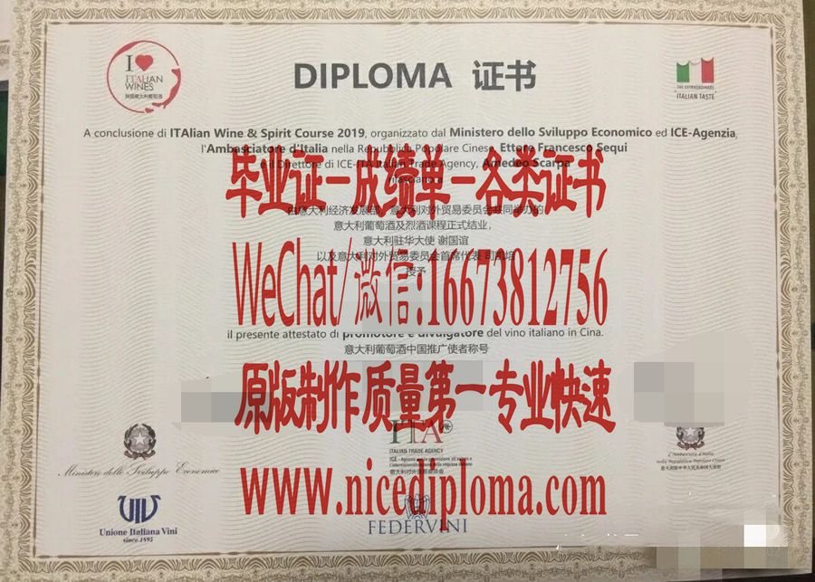 原版仿制DIPLOMA证书