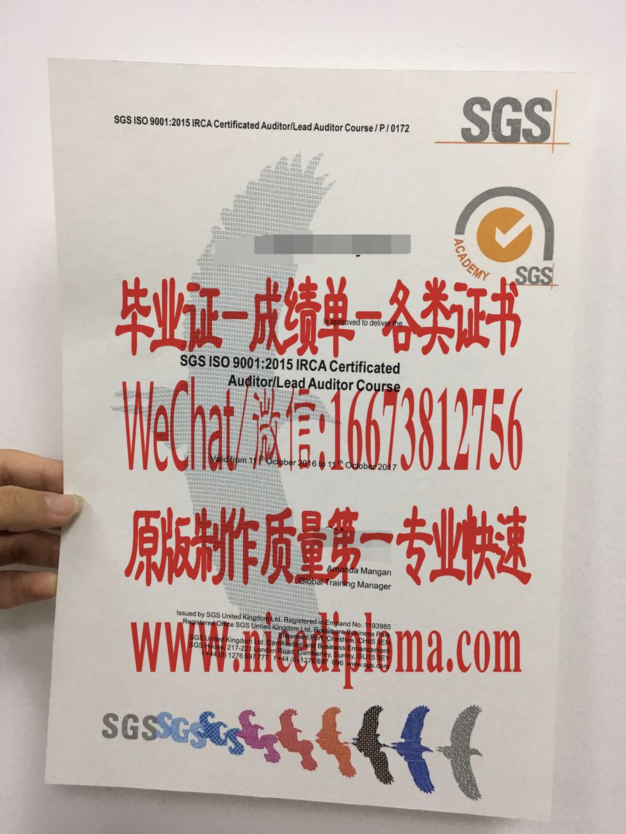 原版仿制ISO9001认证书