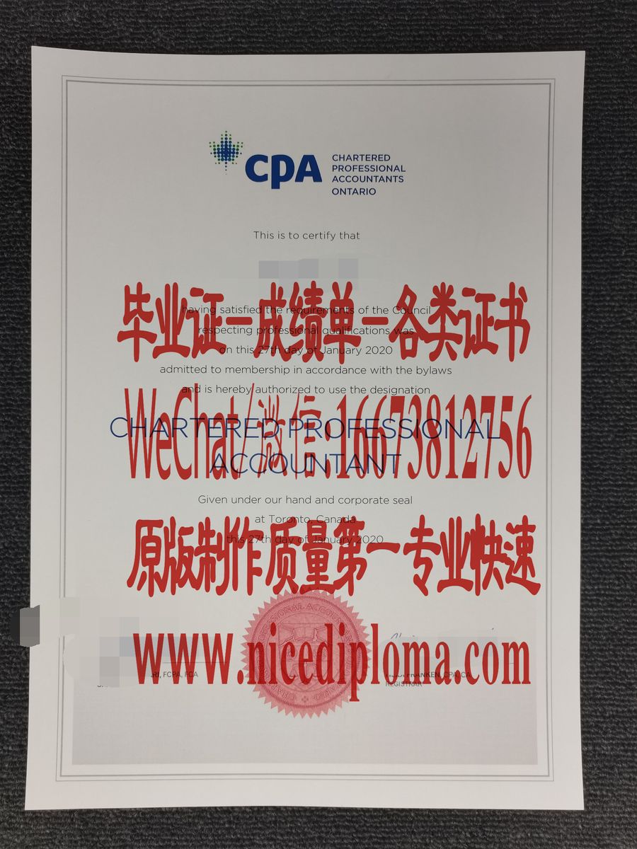 原版仿制安大略省特许专业会计师证CPA