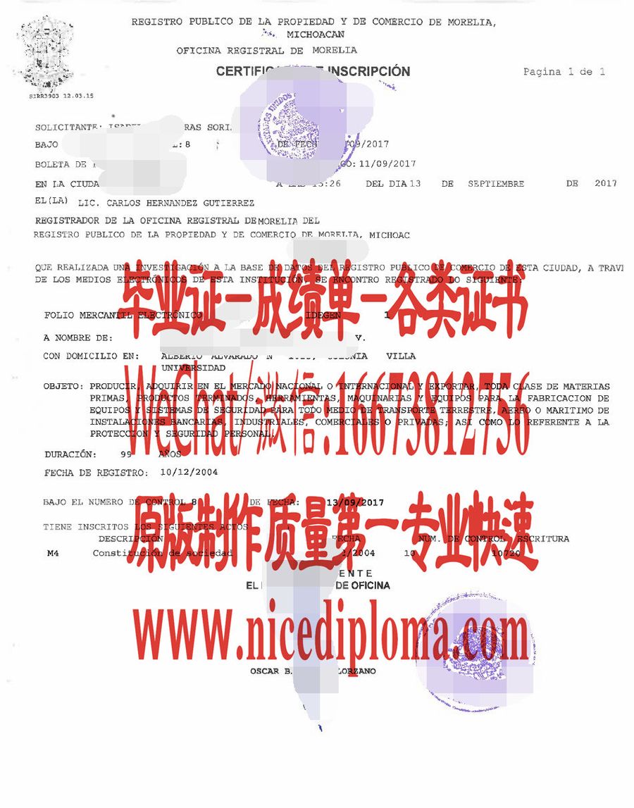 原版仿制新墨西哥州企业商业登记簿