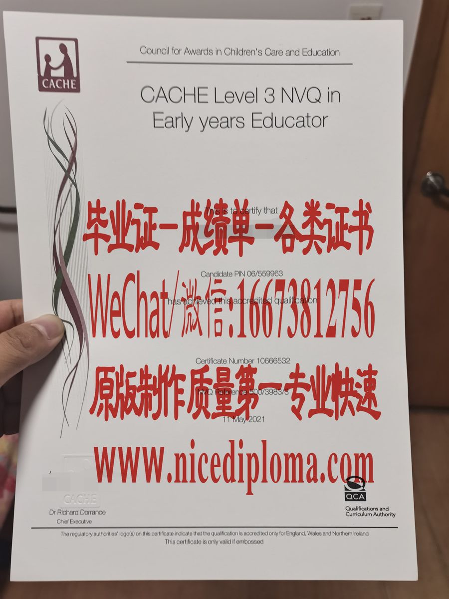 原版仿制英国cache早教教师证