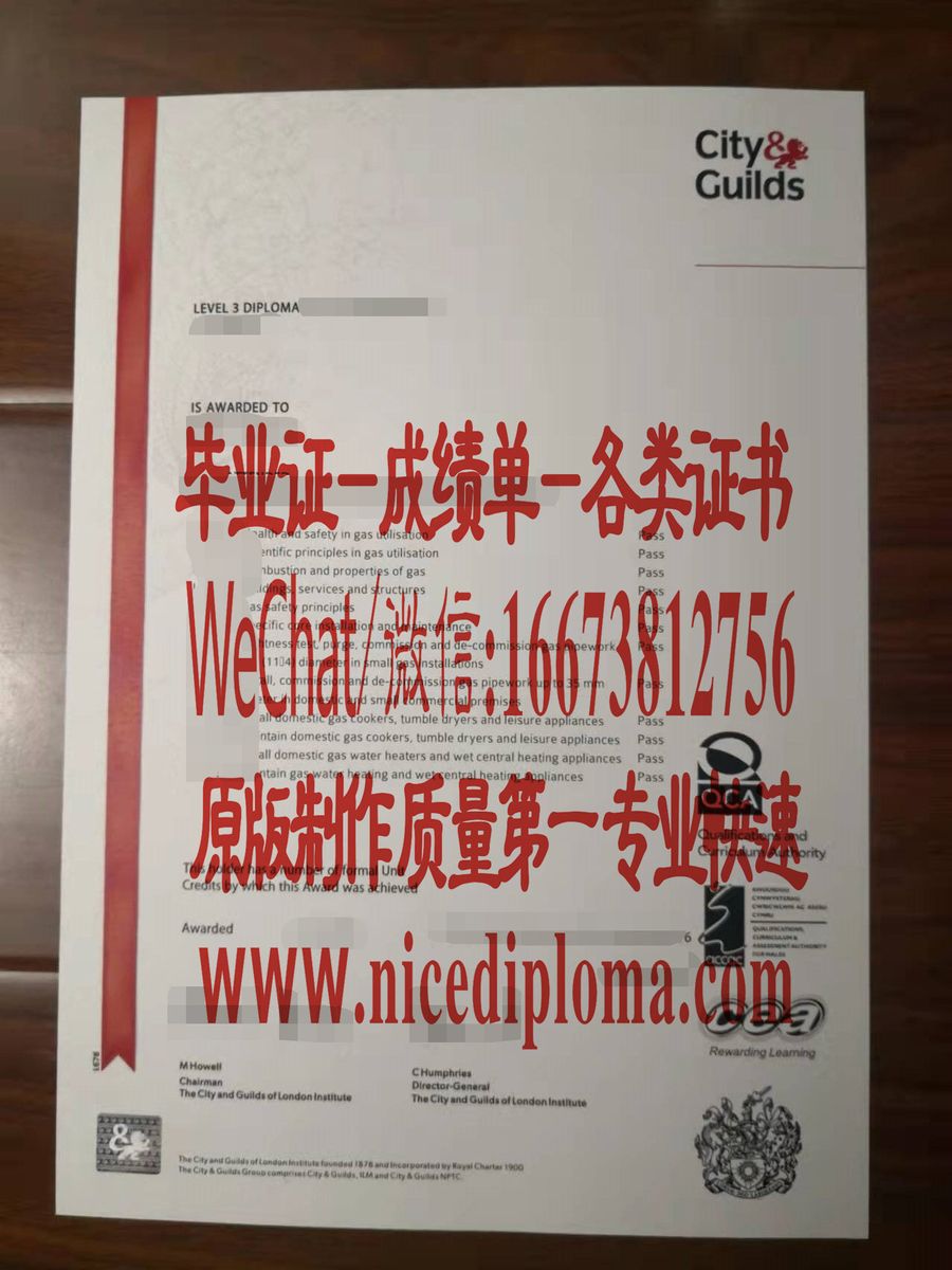 原版仿制英国天然气培训中心燃气利用的健康与安全level3证书