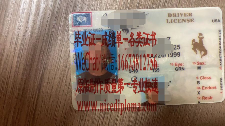 原版定制怀俄明州驾驶执照