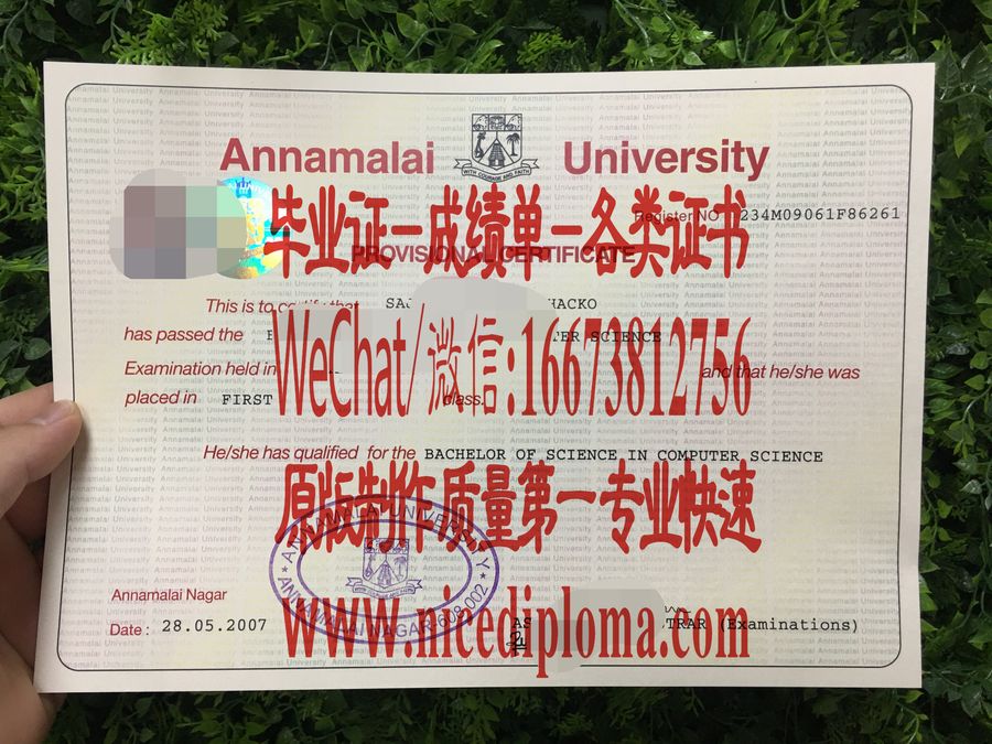 安娜马莱大学文凭毕业证如何仿制