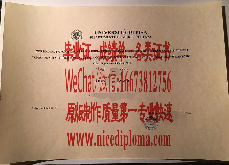 比萨大学毕业证原版仿制