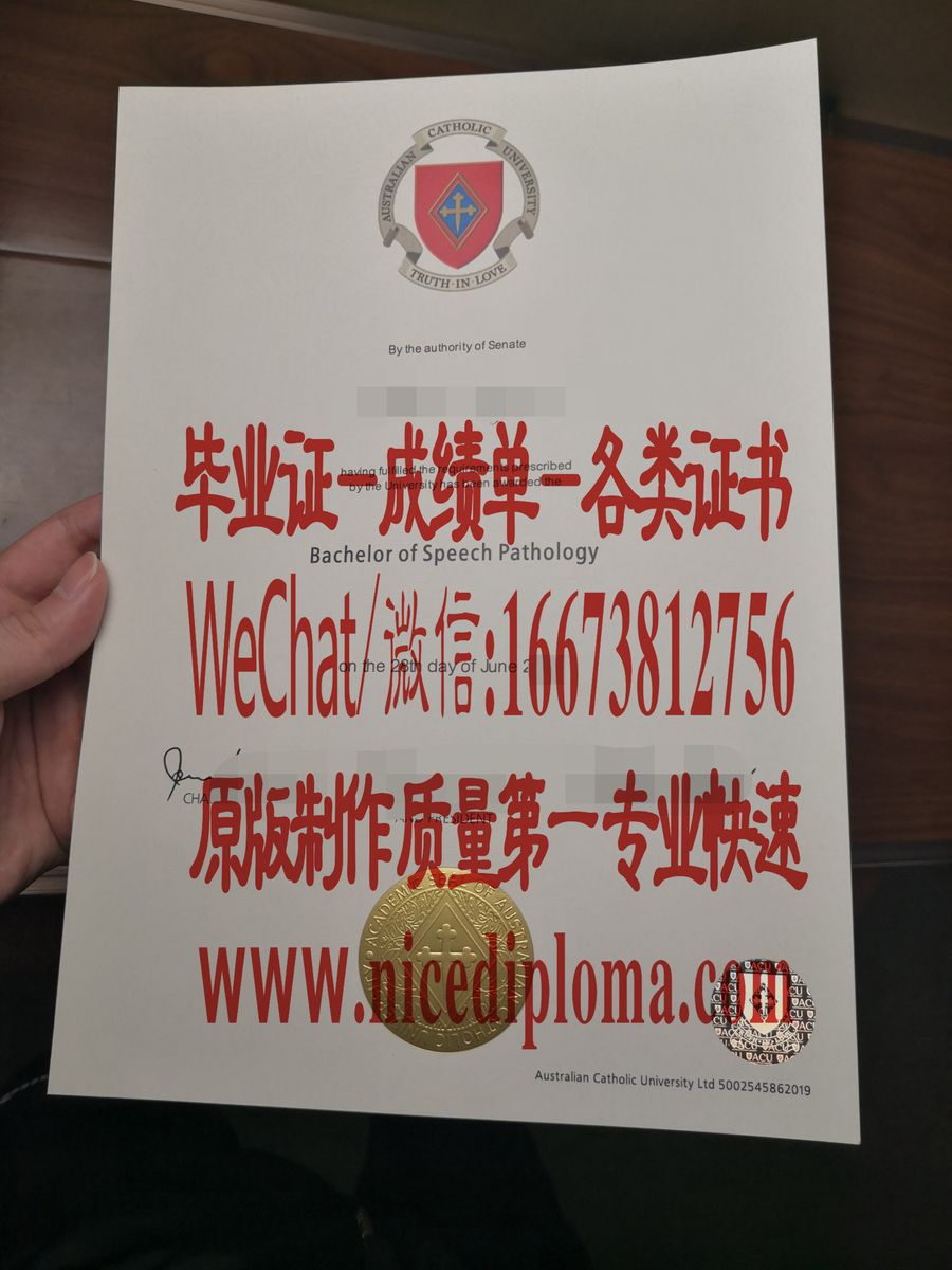 澳大利亚天主教大学文凭学位证假的怎么做