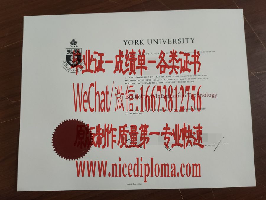 约克大学毕业证文凭哪里能作假