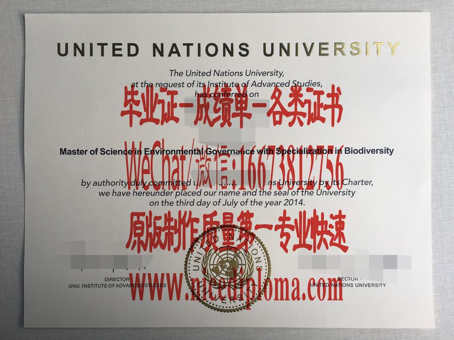 联合国大学毕业证文凭办理订制