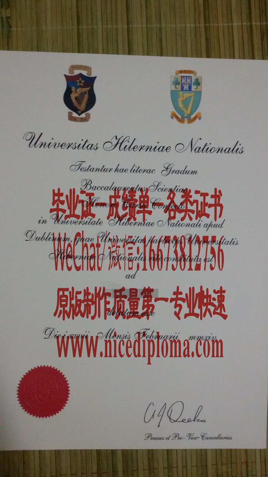 都柏林大学文凭哪里可以办